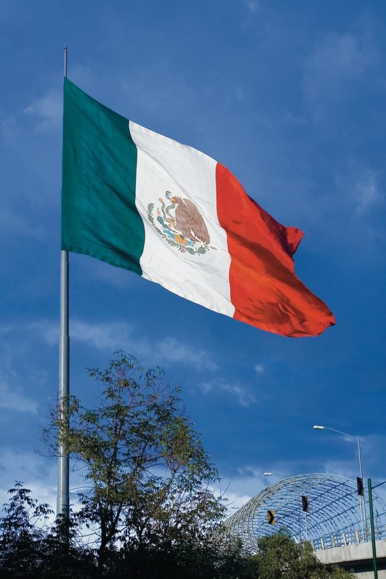 Introductie: waarom Lizaro de aandacht verdient